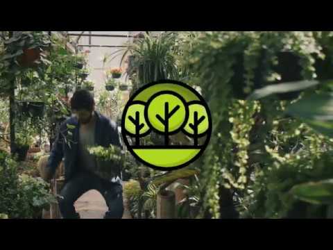 Amazing.Garden Domain For Sale