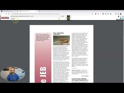 An Overview of Internet Archive Scholar