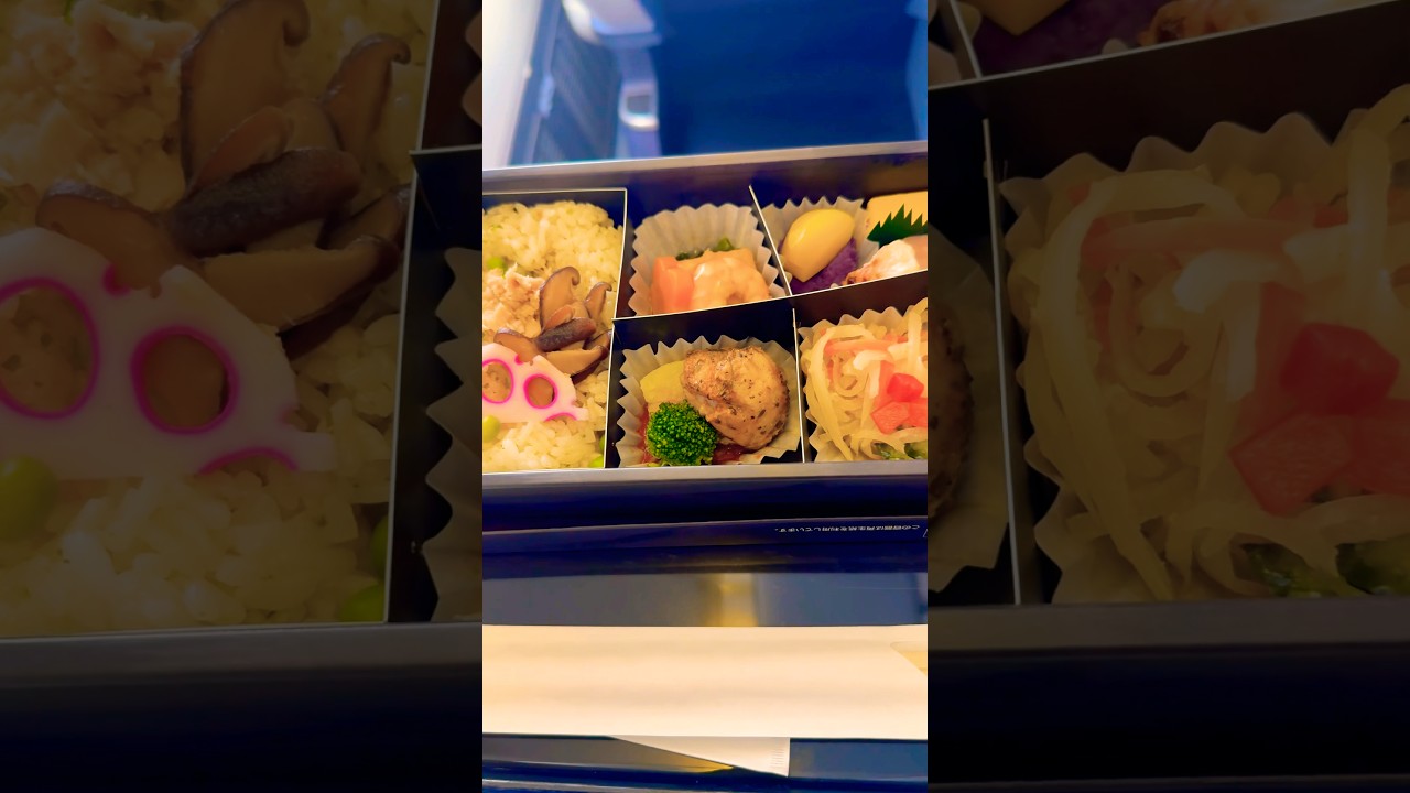 【ANA国内線機内食】国内線通常路線の機内食　※リクエスト動画です　#ana#機内食 #b767 #プレミアムクラス