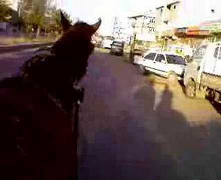 anadoludan görünüm