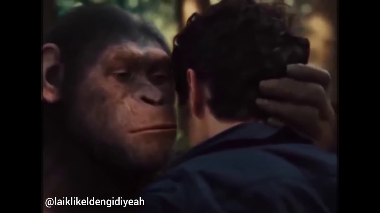 Ananı bacını sikeyim...