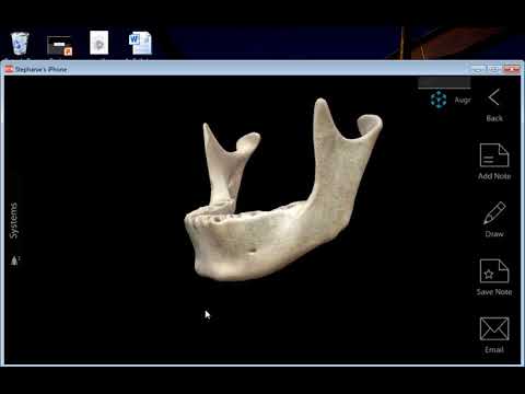 Anatomy of the Mandible
