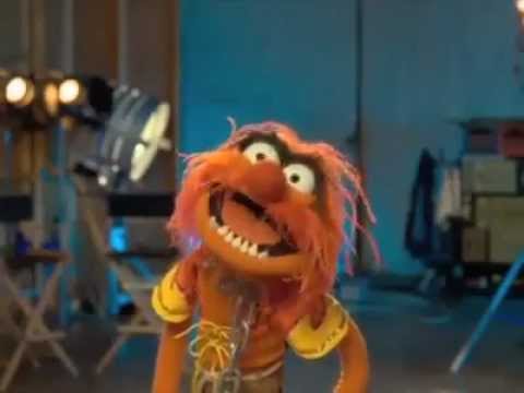 Animal - The Muppets - 