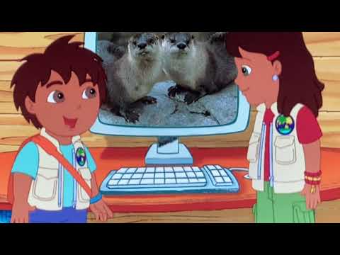 Animal Science Book Otters 🇦🇺