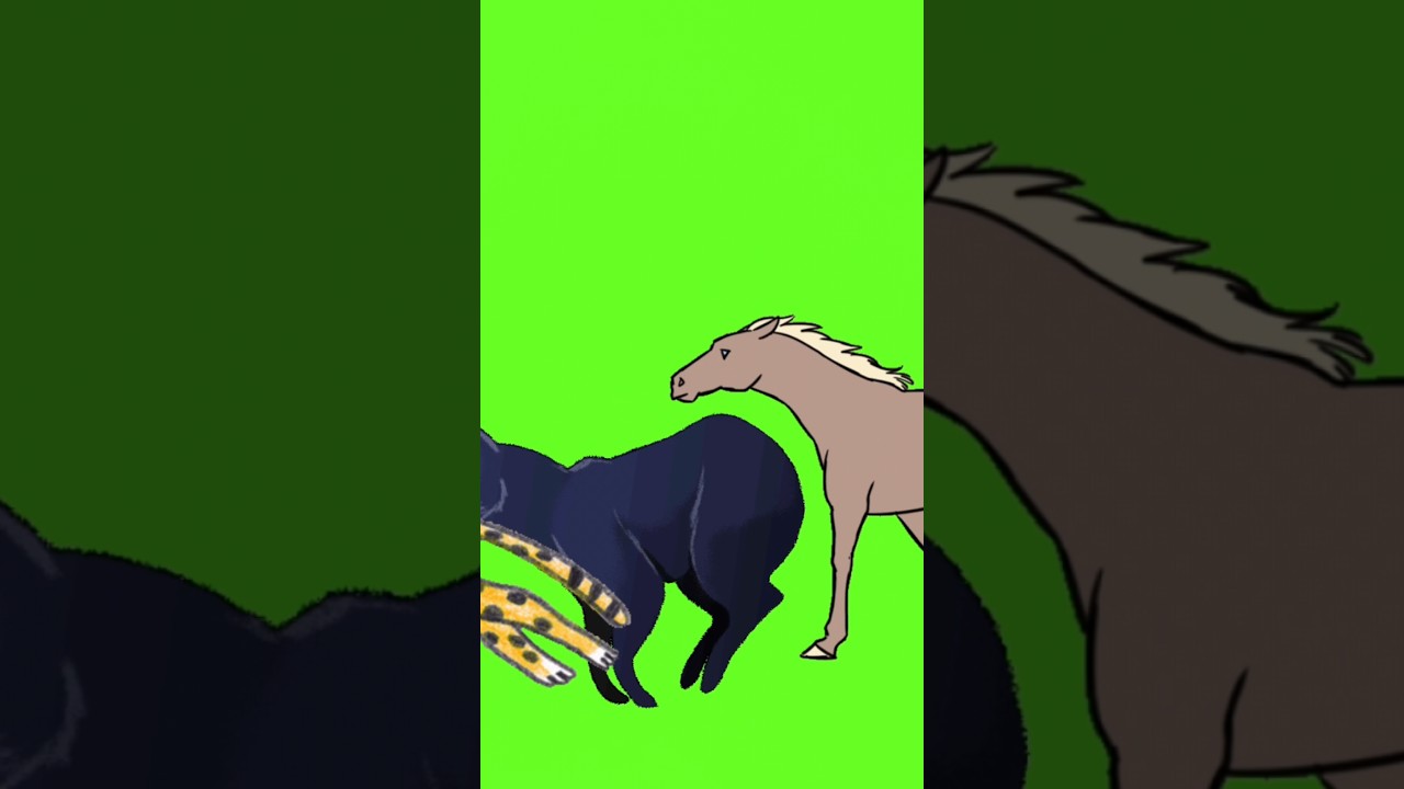 animal stampede green screen animation video l no copyright l #animalstampede #cartoon #animalsvideo