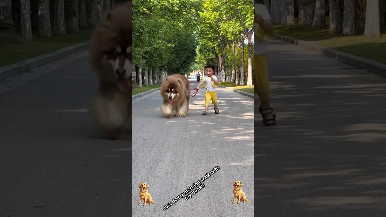 Animal Transformation. Before & After! 😎✨ #shorts #animals #animaltransformation