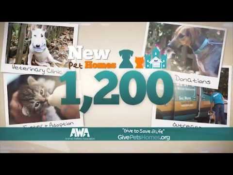 Animal Welfare Association Adoption Challenge