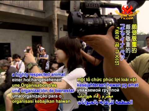 Animals Asia's Moon Bear Rescue