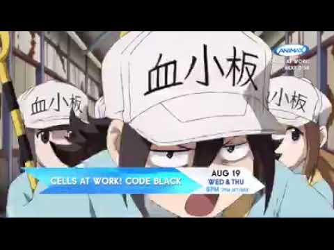 Animax Asia- August 2021 Highlights.