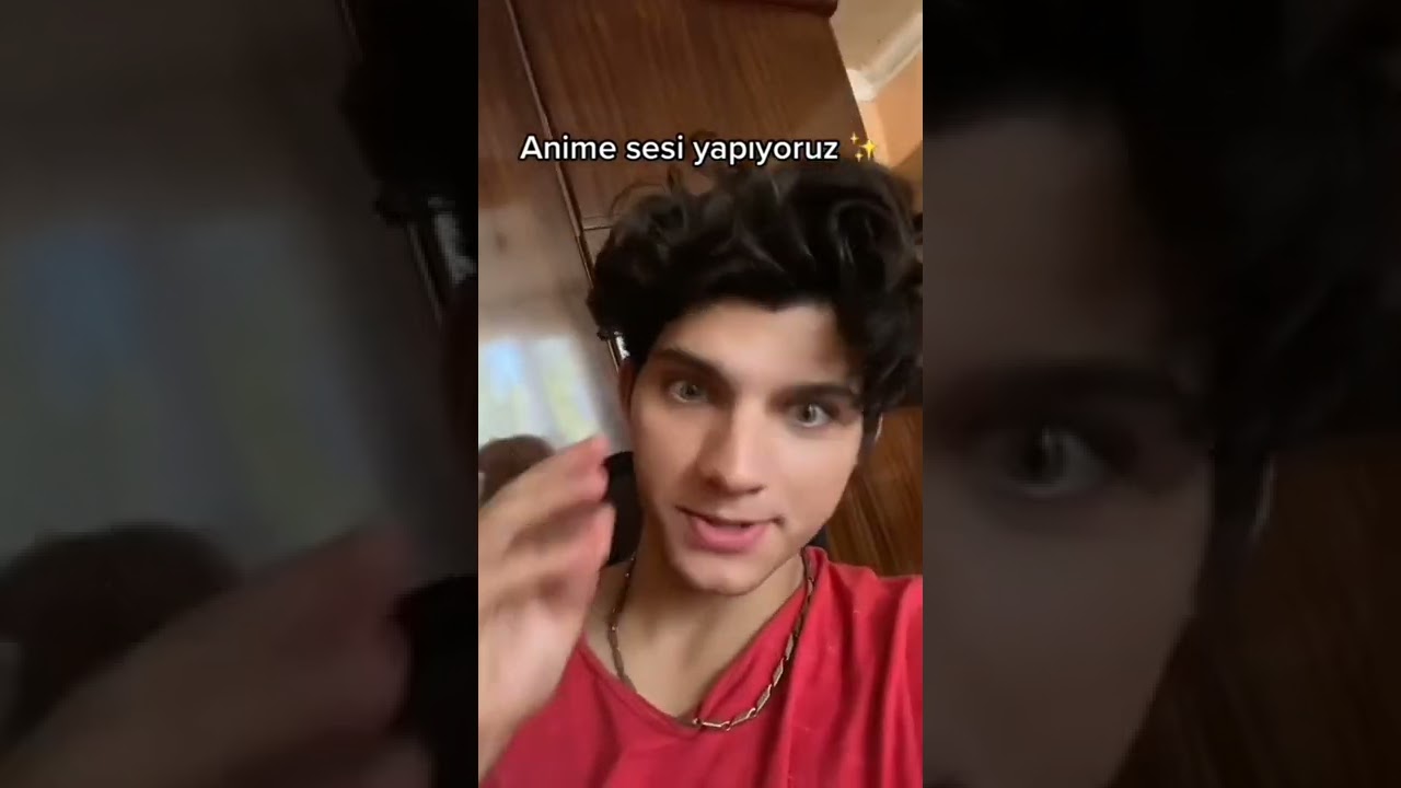 Anime sesi