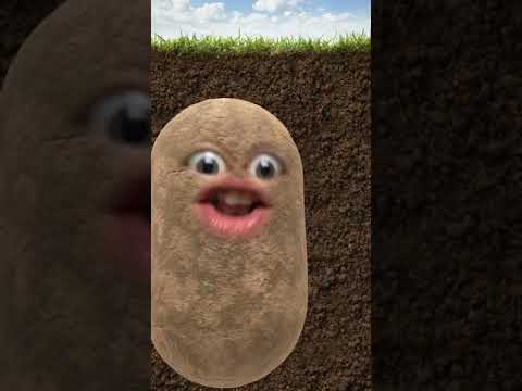 Annoying Potato