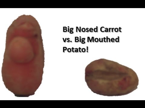 Annoying Potato vs, Carrot!