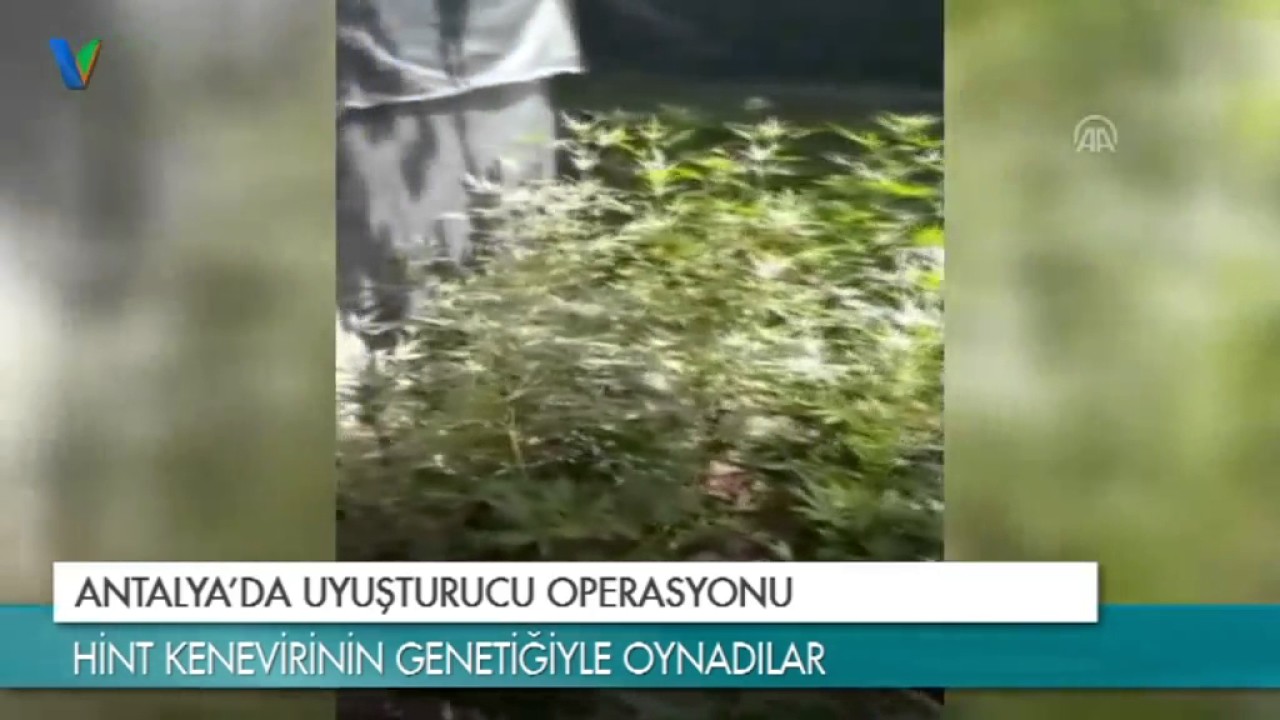 Antalya'da Uyuşturucu Operasyonu