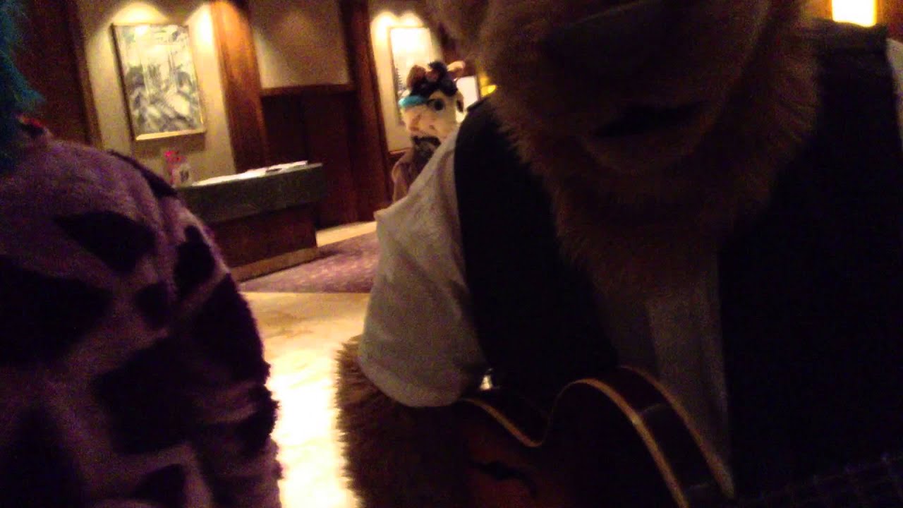 AnthroCon 2013: The Furry Guitarist