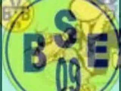 Anti BVB