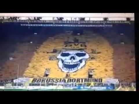 Anti-BvB