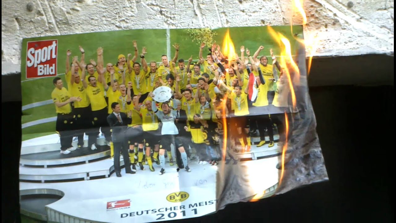 antibvb