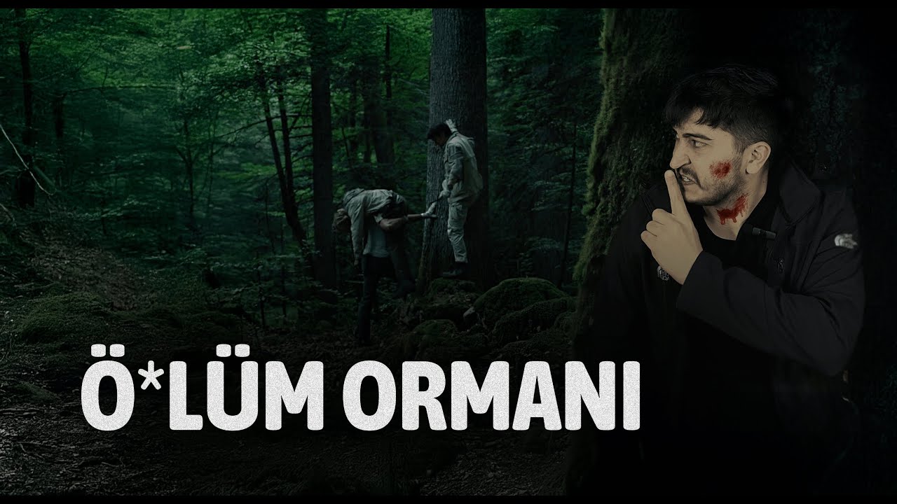 AOKİGAHARA: Japonya Ö*lüm Ormanı. Bu Ormanda Neler Oluyor?