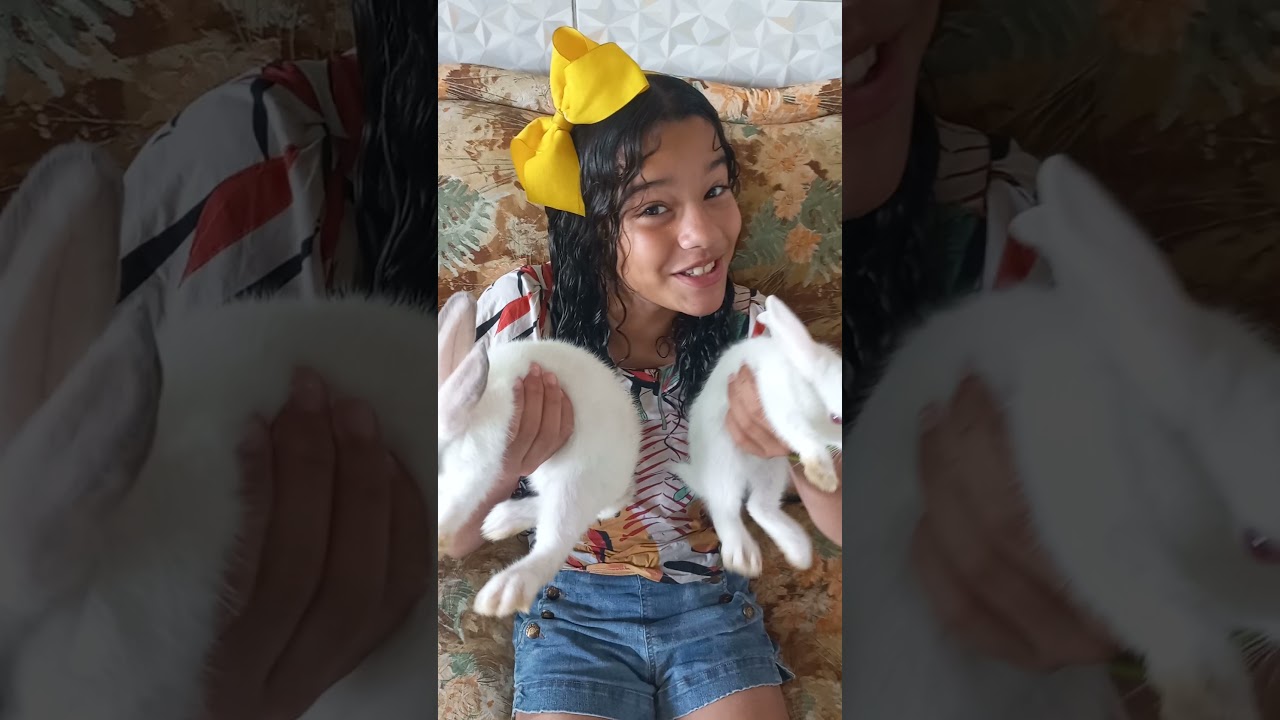 apresentando meus novos coelinhos