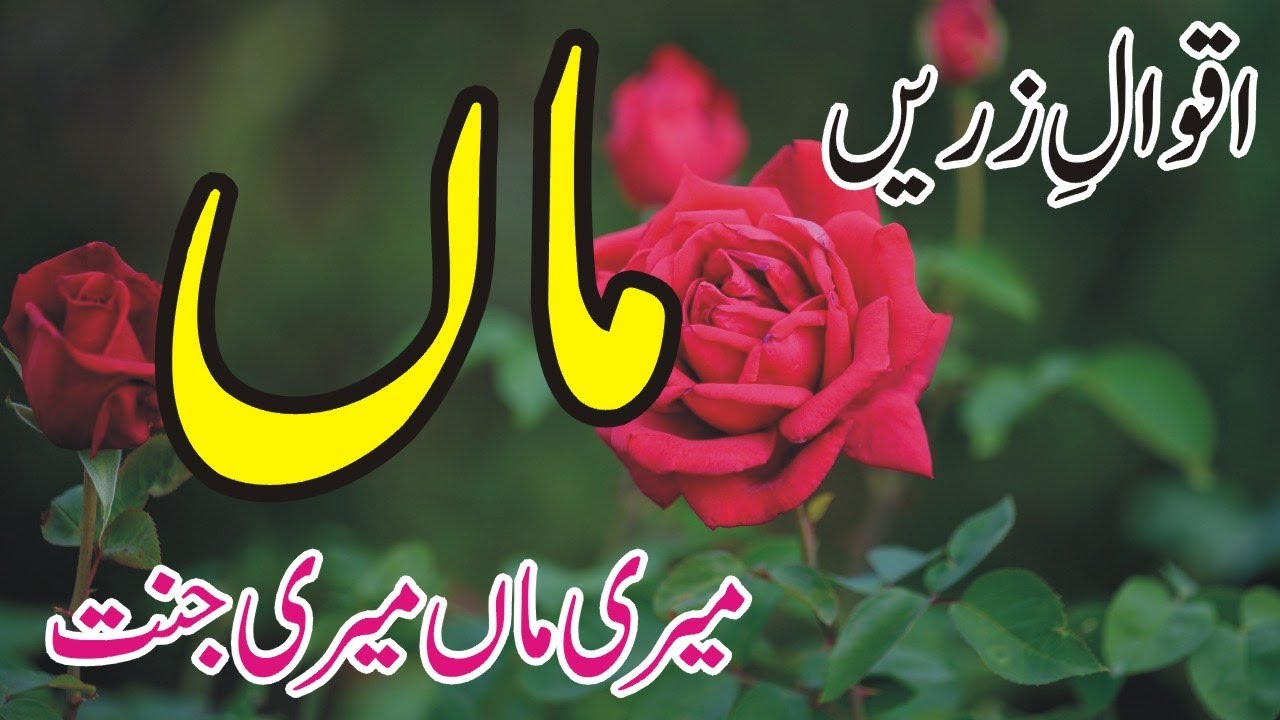 Aqwal e zareen Maa in Urdu - Mother Quotes in Urdu - Cute Quotes - Golden Words - Precious Quotes