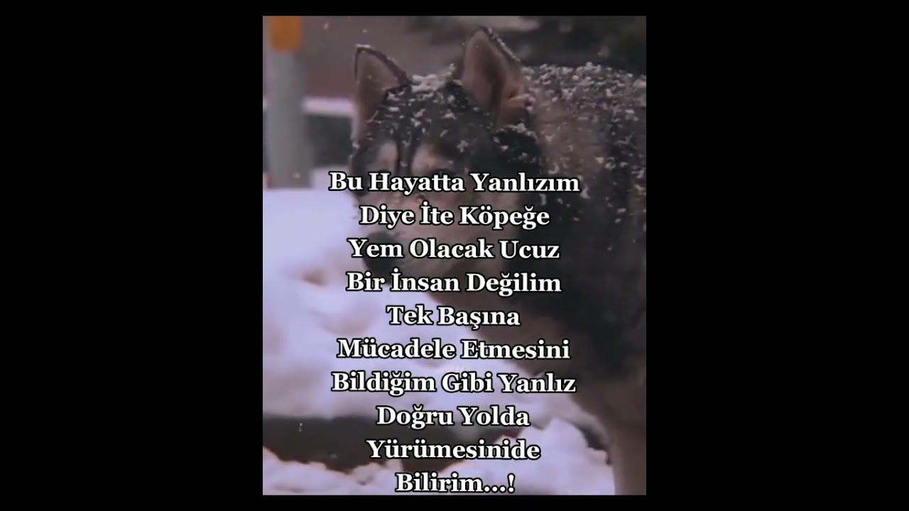 Ağır Abi Sözler...