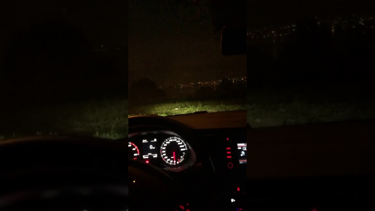 Araba snapleri seat leon