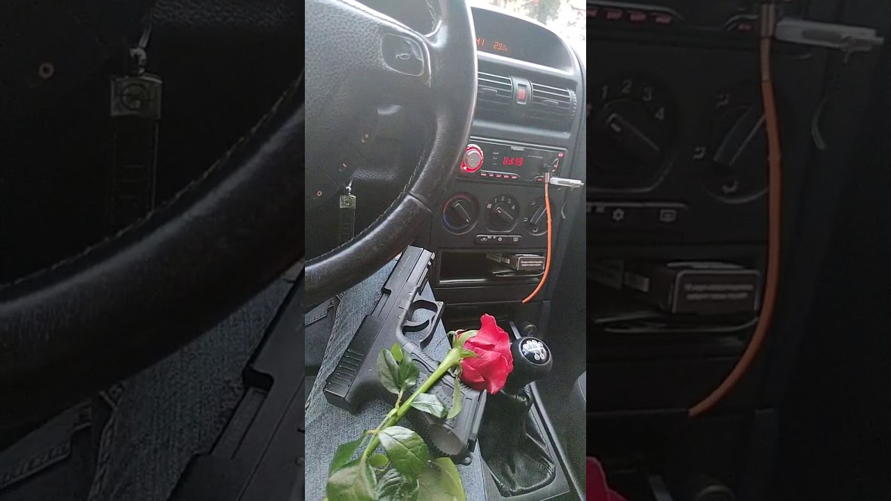 ARABADA SİLAH VE GÜL SNAP