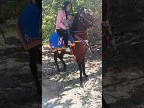 Arak arakan kuda joget bugel