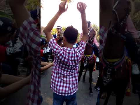 Arak-arakan kuda joget bugel tambaharjo