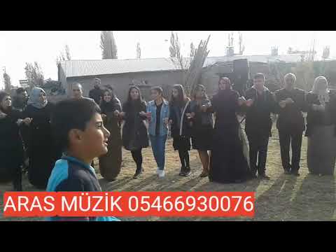 Aras müzik halay
