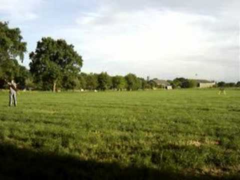 Archery - Distance shots