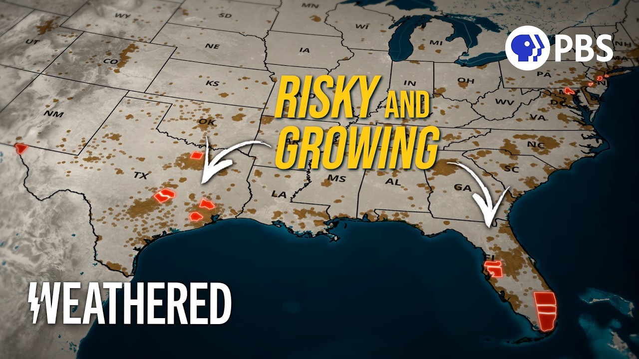 Are Blue Cities Pushing People into Harm's Way?
