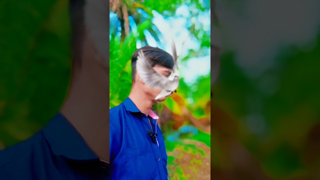 #arif #hossain 🌹🌹🌹