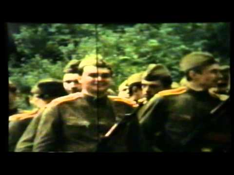 Army Prisyaga