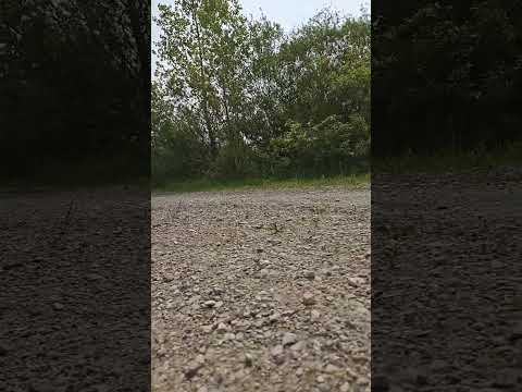Arrma Senton 223s BLX. Full beans #arrma #senton #223s #10thscalerc #rcshorts #shortcourse #rcfun