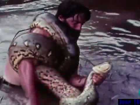 Así CAZÓ una ANACONDA Miguel De la Quadra Salcedo