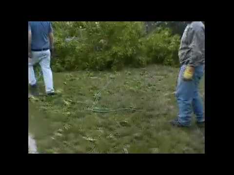 ash falls down