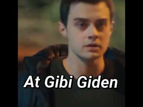 At gibi giden....İt gibi döner