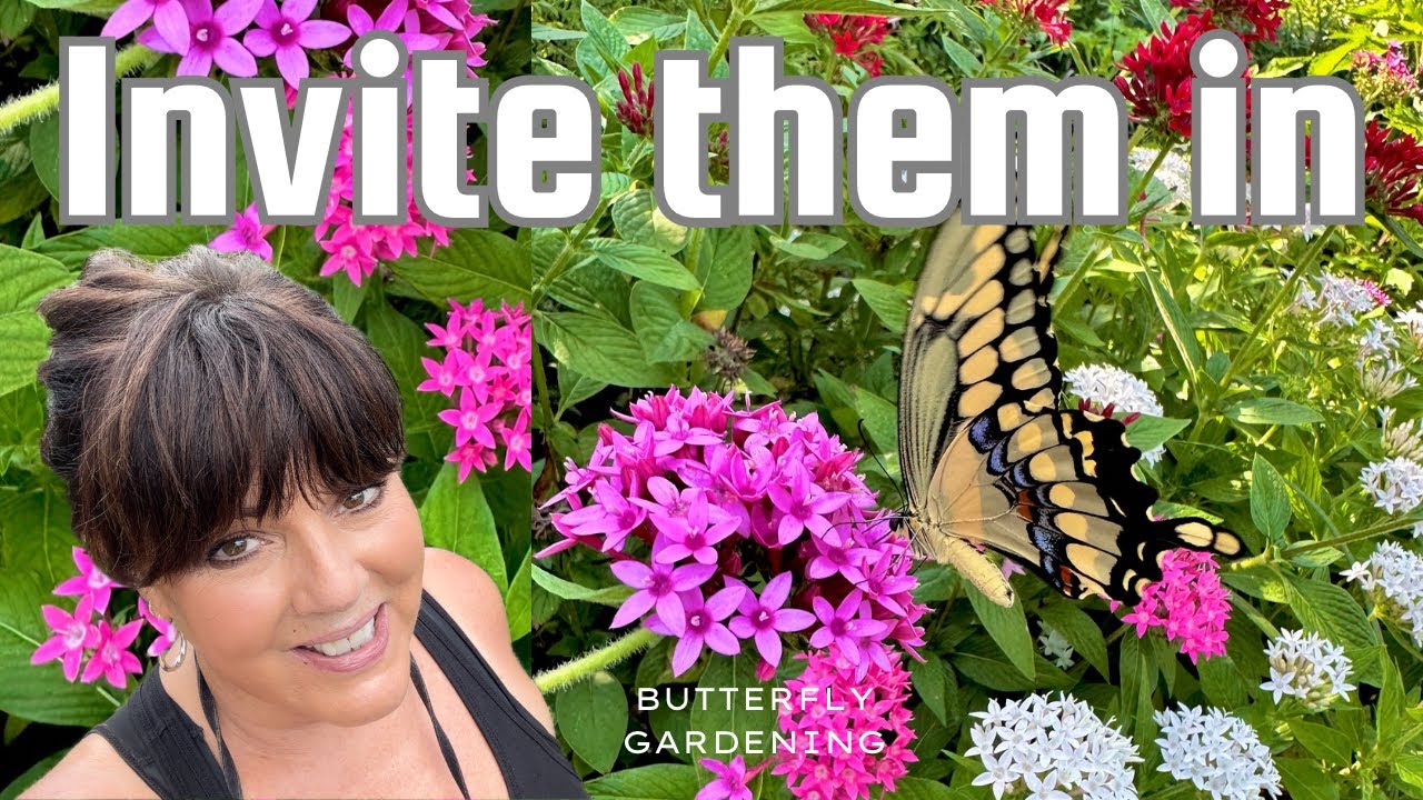 Attract Giant Swallowtail Butterflies:  Top Nectar & Host Plants #butterflygarden