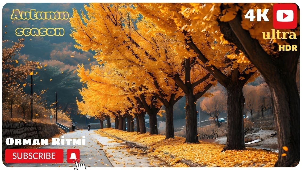 Autumn season  4K HD  (Payız fəsli)