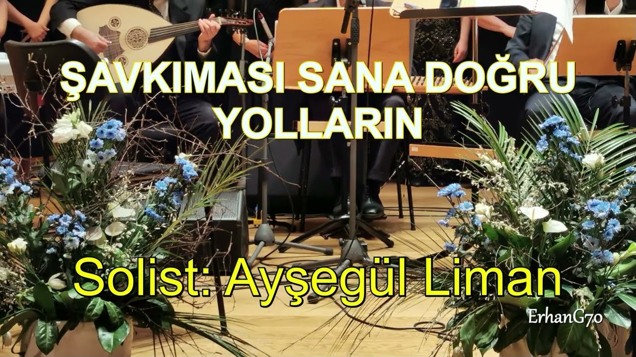 Şavkıması Sana Doğru Yolların  -Ayşegül Liman