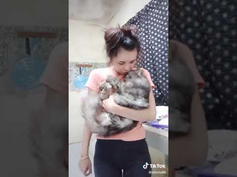 awek peluk kucing