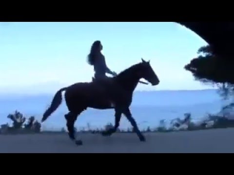 Ay qız, sənin qara tellərin, bağrımı yaran tellərin