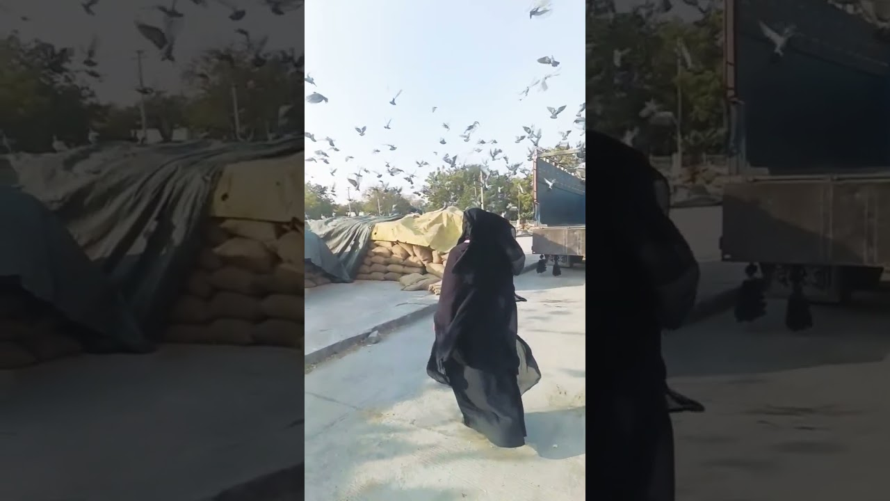 Ayesha Pathan #viral #shorts #attitude
