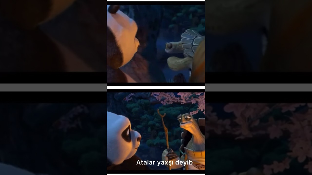 Azerbaycanca Dublaj Serisi -Kungfu Panda 🇦🇿🇹🇷 #fyp #foryou #foryoupage #azerbaycan #turkey #fun