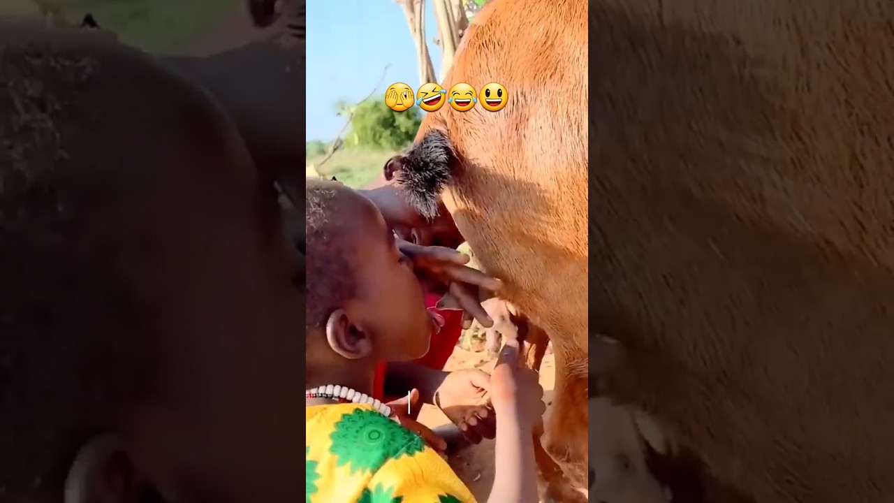 Baby Human Goes Wild Sipping Milk Like a Goat! #BabyDrinksMilk #FunnyBabyMoments #UnbelievableScene