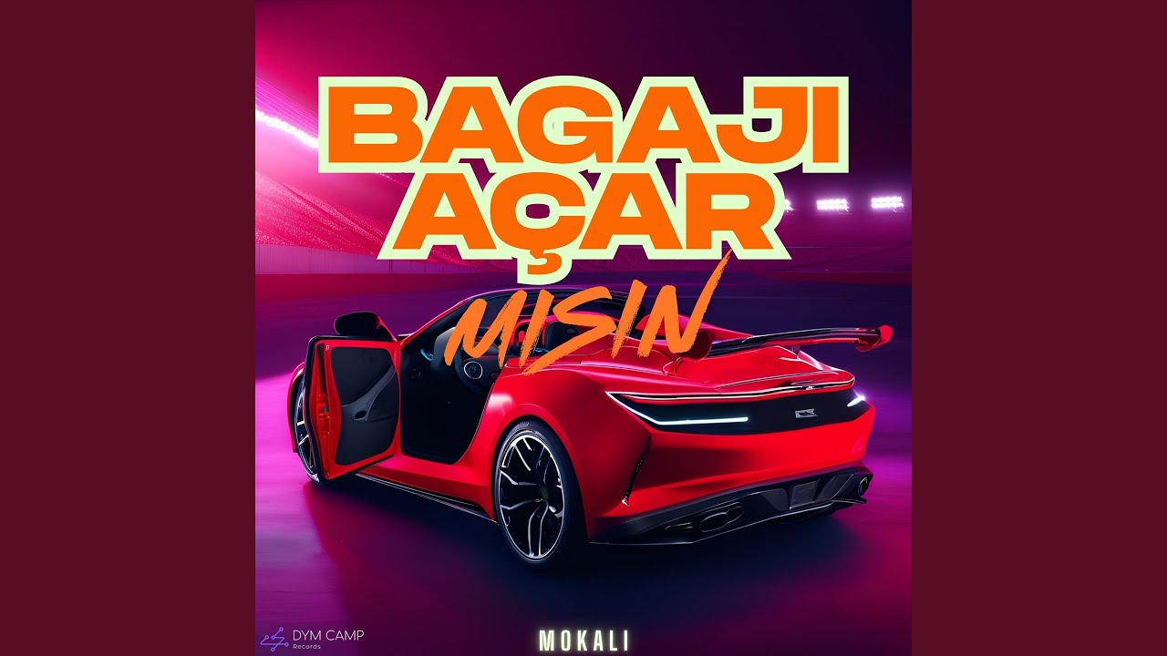 Bagajı Açar Mısın