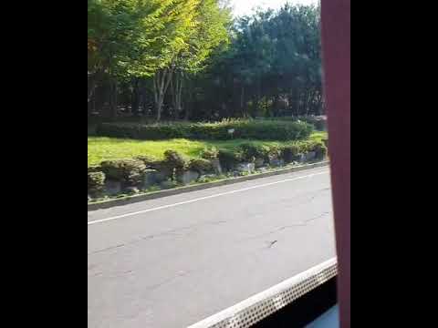 BAGIAN KECIL KOREA SELATAN