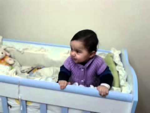 bambam çınar