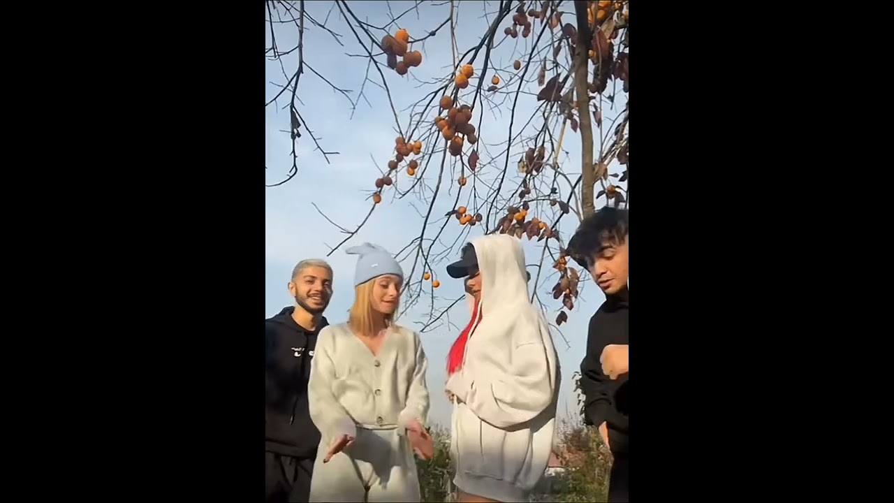 başın arisa salla